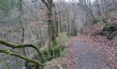 Randonnée Marche Stoumont - stpumont - froudcour aller via sentier corniche retour le long de l ambleve - Photo 17