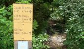 Tour Wandern Die - Col de Bergu  - Photo 15