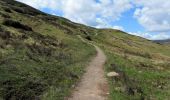 Trail On foot Unknown - West Highland Way - alternate - Photo 8