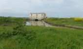 Trail On foot Saint-Just-Luzac - le Moulin des loges  Mauzac 17   -8 km 400 - Photo 2