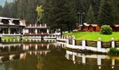 Trail On foot Brasov - Poiana Brașov - Padina Lăutei - Cabana Postăvaru - Photo 3