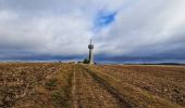 Tour Wandern Dourdan - Le tour du Grand Paris via le GR1 Etape 18 Dourdan Rambouillet - Photo 5