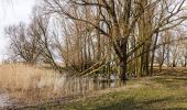 Trail On foot Lelystad - 't Langepad - Photo 6