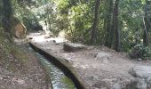 Trail Walking Laroque-des-Albères - laroque . canal d irrigation . puit de neige . A/R - Photo 9