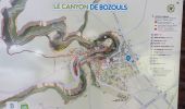 Trail Walking Bozouls - Bozouls - Photo 12