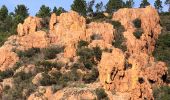 Tour Wandern Saint-Raphaël - les Grues, le Mont St Martin depuis les Lentisques - Photo 3