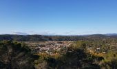 Trail Walking Clermont-l'Hérault - La Ramasse - Photo 12