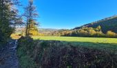 Excursión Senderismo Stoumont - A la découverte du ruisseau du Roannay et le village de Moulin du Ruy - Photo 17