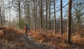 Trail Walking Braine-le-Comte - Balade dans la Bois de la Houssière - Henripont - Photo 5