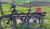 Tour Elektrofahrrad Saint-Clément - sortie vtt 20032024 printemps  - Photo 5