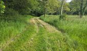 Excursión Senderismo Fontaine-les-Coteaux - Fontaine-les-coteaux - Bois de Beauvoir - Photo 10