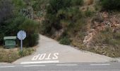 Tocht Stappen Portbou - Gr92-01 - Photo 14