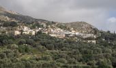 Trail On foot Municipality of Zaros - Agios Efthimios - Photo 1