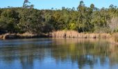 Tour Wandern Fréjus - Colle Douce - Pt Barban - Lacs Peguières - Col Essuyadou - Col des Sacs - Photo 9