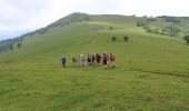 Trail Walking Masevaux-Niederbruck - Le ROOSBERG-1 - Photo 1