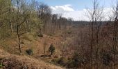 Tour Wandern Villers-Cotterêts - Abbaye, fontaine en forêt  - Photo 3