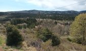 Trail Walking Caussols - Sommet de Calern + Bories-17-04-23 - Photo 1