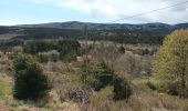Trail Walking Caussols - Sommet de Calern + Bories-17-04-23 - Photo 1