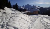 Tour Schneeschuhwandern Manigod - Comburxe - Photo 3