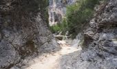 Trail Walking Gordes - ravin de la veroncle - Photo 3