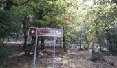 Tour Wandern Pignans - Pignan - ND des Anges. - Photo 4