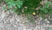 Trail Walking Lemberg - lemberger rothenbergerweg - Photo 11
