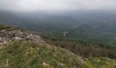 Trail Walking Labastide-en-Val - Labastide en val- Plateau Lacamp - Photo 4