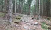 Tocht Stappen Le Bonhomme - Circuit de la Tête des Faux - Photo 4