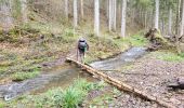 Trail Walking Manhay - Deux Rys 120423 - Photo 4