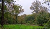 Randonnée Marche Esneux - rond chêne. limon . hestreux . rond chêne  - Photo 20