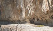 Trail Walking Vallon-Pont-d'Arc - Boucle des grottes  Pont d'arc - Photo 1
