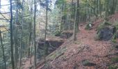 Trail Mountain bike Celles-sur-Plaine - sortie vtt du 24102019 celles sur plaine  - Photo 11