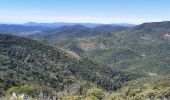 Tocht Stappen Gonfaron - Plateau du Treps - Photo 6