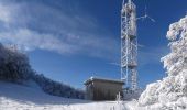 Tour Schneeschuhwandern Léoncel - Le Grand Echaillon - Les Crêtes de la Sausse - Photo 16