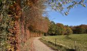 Trail On foot Würselen - Rundweg A4 - Rund um Adamsmühle und Wolfsfurth - Photo 5