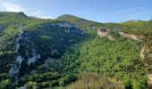 Randonnée Marche Buoux - APT,  Buous , circuit d Aigue Brun o l  - Photo 3