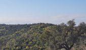 Randonnée Marche Roquebrune-sur-Argens - Massif flute - Photo 7