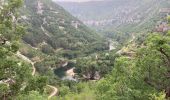 Tour Wandern La Malène - Le roc des Hourtous et roc du Serre - Photo 6