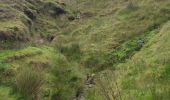 Percorso Marcia West Cork - Allihies - Castletownbere - Photo 7