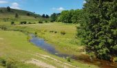 Tour Rennrad Langogne - NAUSSAC - COL DE LA PIERRE PLANTEE - Photo 11