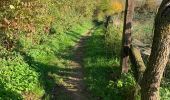 Trail Walking Dilbeek - WSV D Trekplosters. 12 km  - Photo 19