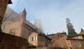 Tour Wandern Albi - Albi 1 - Photo 17