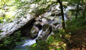 Trail Walking Bohinj - Gorges - Photo 10