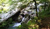 Percorso Marcia Bohinj - Gorges - Photo 10