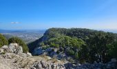 Trail Walking Toulon - Autour du Faron - Photo 4