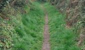 Randonnée Marche Belz - PR_56_Belz_EA_05_Tro-Belz-Cote-Terre_Circuit4a_20250326 - Photo 3