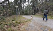 Trail Walking Sanilhac - Sanilhac du pezenas au Blachis - Photo 1