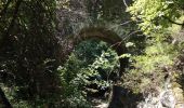 Tocht Stappen Montjoyer - Le ruisseau de citelles (Alerac 26) - Photo 4