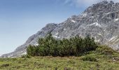 Tour Zu Fuß Scuol - Alp Sesvenna - Rims - Photo 7