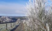 Trail Walking Vielsalm - entre Fraiture et le plateau des Tailles - Photo 5